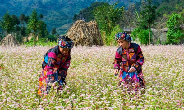 Những điểm du lịch ở Việt Nam bạn phải đến vào mùa Thu