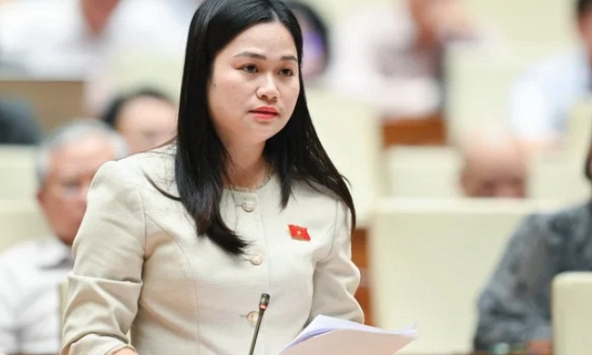 Đại biểu Quốc hội: Báo động tình trạng xâm hại trẻ em