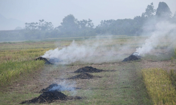 Nguyên nhân khiến chất lượng không khí tại Hà Nội ngày càng kém