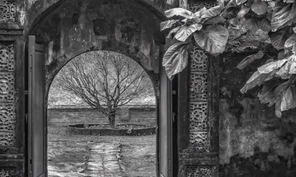 “Alternate Existence/s”: Triển lãm hồi tưởng của nghệ sĩ Tom Hricko 