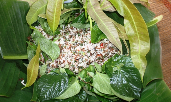 Cá gỏi kiến vàng: Món ăn kết hợp cá suối và tổ kiến trên cây