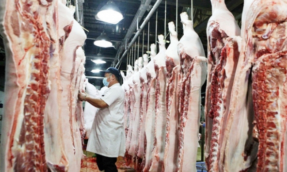 Lại tìm cách 'cứu' thị trường thịt heo giáp Tết