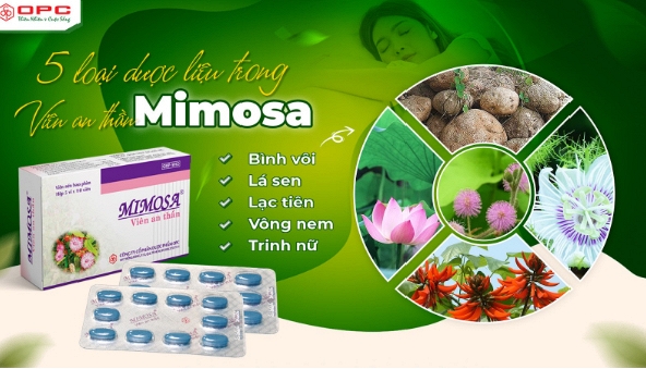 Mimosa OPC - Định tâm, an thần, yên giấc ngủ