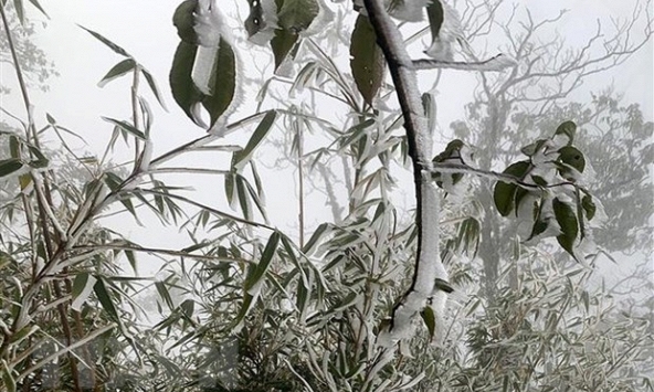 Không khí lạnh tăng cường, Bắc Bộ và Bắc Trung Bộ tiếp tục rét