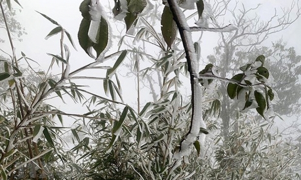 Chuyên gia cảnh báo còn nhiều đợt rét đậm, rét hại vào đầu năm 2023