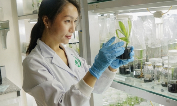 PGS.TS Nguyễn Phương Thảo và sinh học phân tử