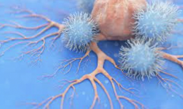 Vaccine ung thư mới khiến tế bào ung thư tiêu diệt chính 'gia đình' mình