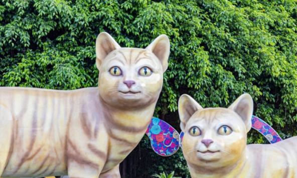 Ngắm linh vật mèo Tết Quý Mão ở một số tỉnh, thành Việt Nam
