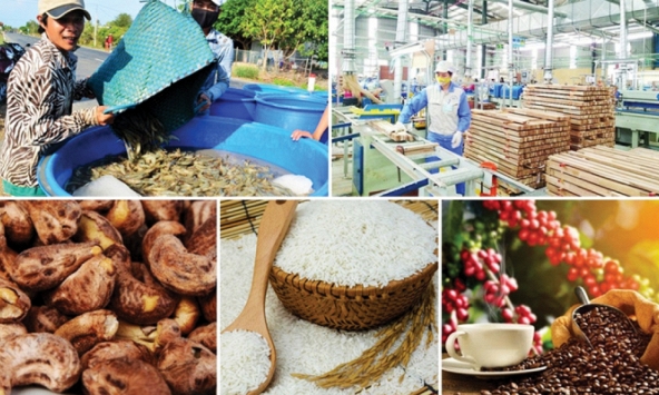 Việt Nam, bếp ăn mới của thế giới?