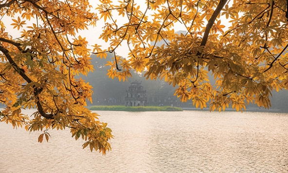 Chúng ta ở trong một thành phố