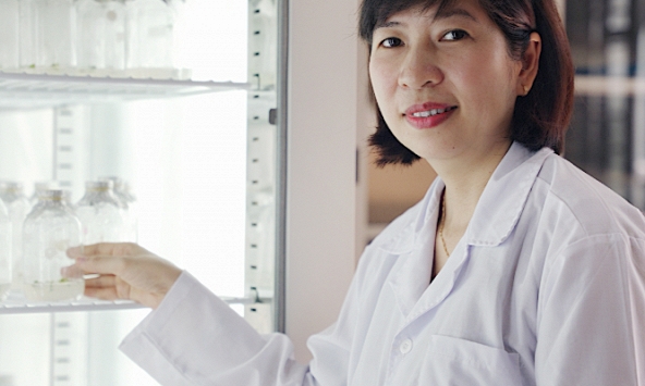 Nữ PGS tâm huyết với bảo tồn nguồn gen cây trồng bản địa