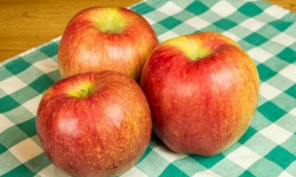 Giống táo đắt đỏ nhất thế giới có gì đặc biệt?