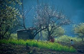 Ngọc Khuê, Khánh Linh… cùng các nghệ sĩ biểu diễn miễn phí trong chương trình kỷ niệm 10 năm thành lập huyện miền núi Vân Hồ