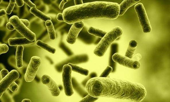 Độc tố botulinum nguy hiểm như thế nào?