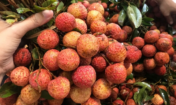 7 nhóm người cần hạn chế ăn vải 