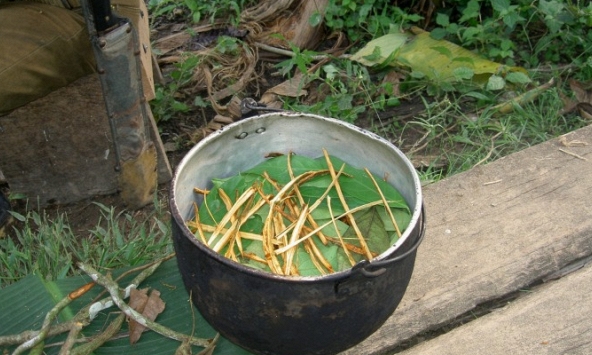 Nghi thức thiêng liêng của thổ dân Amazon giúp che chở 4 đứa trẻ lạc trong rừng