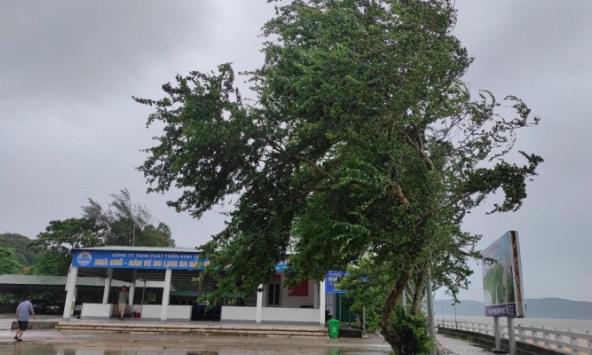 Bão số 1 giảm cấp đổ bộ vào ven biển tỉnh Quảng Ninh - Hải Phòng 