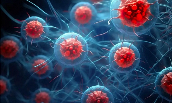 Phát hiện phương pháp mới khả quan trong việc chống ung thư và alzheimer