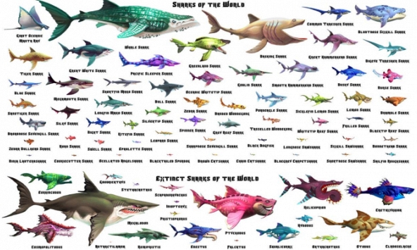 Nhìn lại tựa game cá mập huyền thoại, 10 năm mà sao thay đổi nhiều quá!