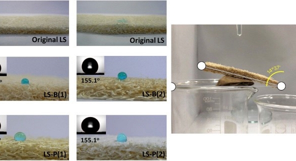 Tiến sĩ chế tạo xốp xơ mướp hút dầu và vi nhựa
