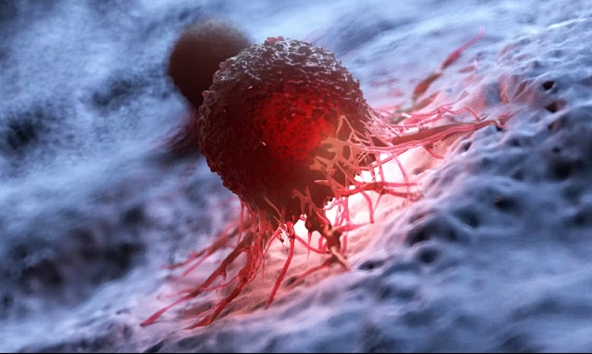 Vi khuẩn biến đổi gene có thể giúp phát hiện tế bào ung thư