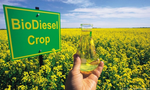 Các nhà sản xuất châu Âu như ngồi trên đống lửa: Nhiên liệu sinh học giả của Trung Quốc tràn ngập EU?