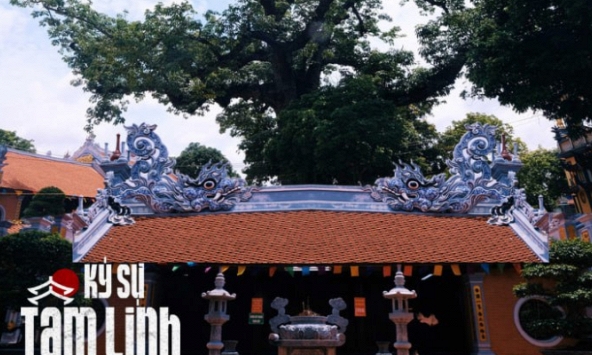 Về Hải Phòng thăm đền Mõ, nơi có cây gạo hơn 700 tuổi gắn liền với chuyện tình của nàng công chúa nổi tiếng nhất lịch sử Việt Nam