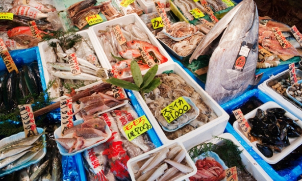 Xả thải hạt nhân Fukushima: Lệnh cấm hải sản Nhật Bản của Trung Quốc có thể gây tác dụng ngược