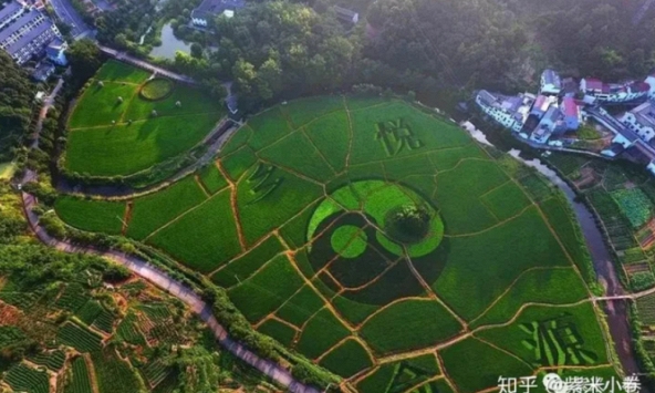 Bí ẩn ngôi làng do Lưu Bá Ôn thiết kế: Lấp ao thì nhà sập, nước giếng 'đoán' thời tiết