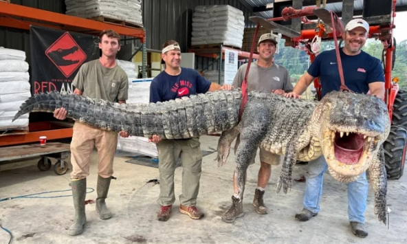 Thợ săn Mỹ: 7 tiếng như dưới địa ngục, đánh vật với cá sấu khổng lồ dài hơn 4,3 m, nặng 364 kg