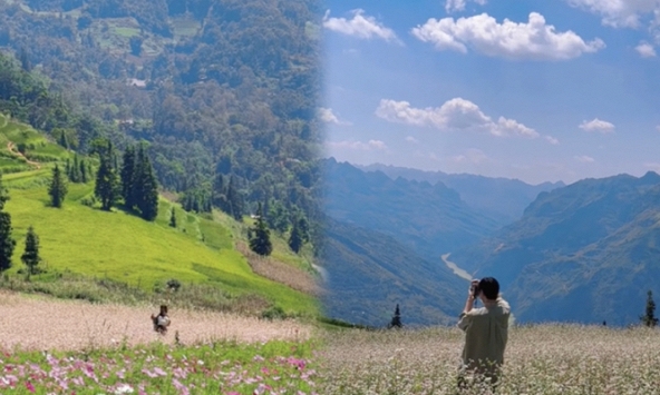 Địa điểm tại Việt Nam khiến cư dân mạng lầm tưởng là Thụy Sĩ, khung cảnh không khác gì phim Hạ cánh nơi anh 