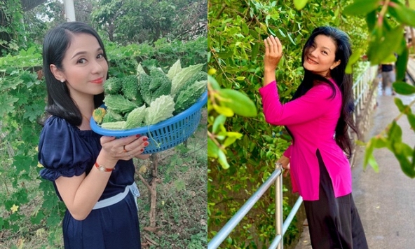 Hai mỹ nhân tên 'Trinh' bỏ phố về quê, sống bình dị, vui thú điền viên sau những sóng gió cuộc đời