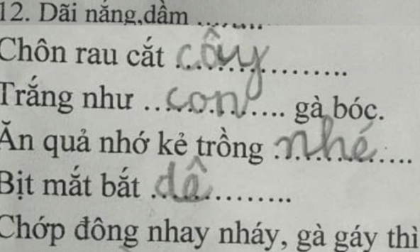 Bài kiểm tra tiếng Việt lớp 1 khiến người lớn ngậm ngùi 'khó phết', đọc câu trả lời của học trò mà cười ngất