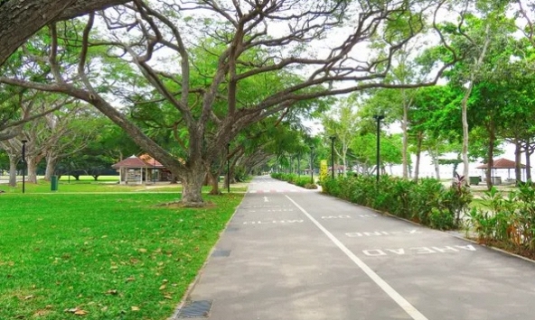 Quốc gia Đông Nam Á trở thành 'Vùng Xanh' thứ 6 của thế giới