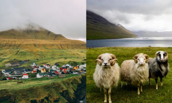 Faroe - quần đảo thiên đường của cừu và những ngôi nhà đầy sắc màu mọc trên cỏ xanh
