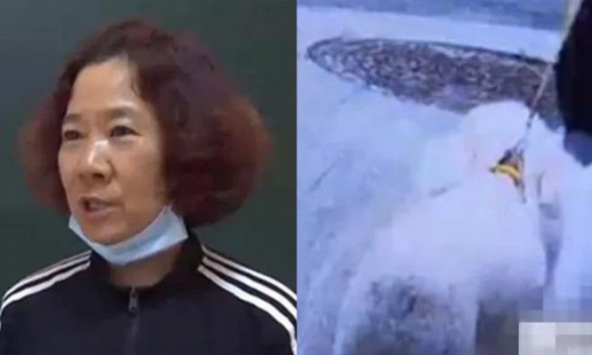 Bị hai con chó cắn liên tiếp trong hai tháng, người phụ nữ đòi trả tiền thuốc men thì bị chủ chó 'giội gáo nước lạnh': 'Do cô xui!'