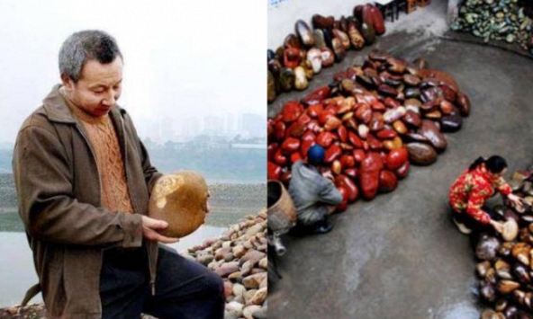 Ngôi làng kỳ lạ ở Trung Quốc: Người dân chuyên làm giàu từ nghề nhặt đá, du khách đến chơi 'chọn kỳ thạch' để thử vận phát tài