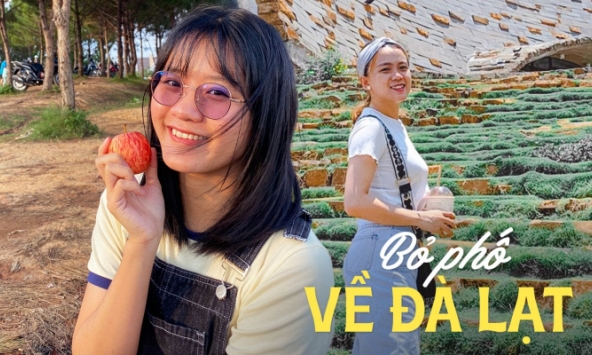 Bỏ phố về Đà Lạt: Từng làm ngân hàng 7 năm cũng không tìm được việc, lương thấp nhưng chi phí sinh hoạt không hề rẻ 