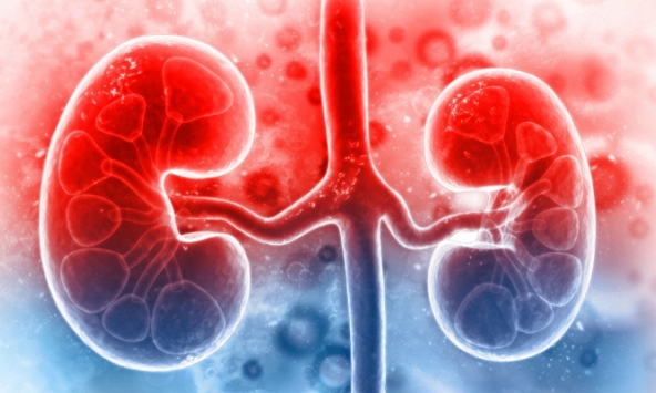 Cần đi khám suy thận ngay nếu có 3 dấu hiệu bất thường này vào ban đêm