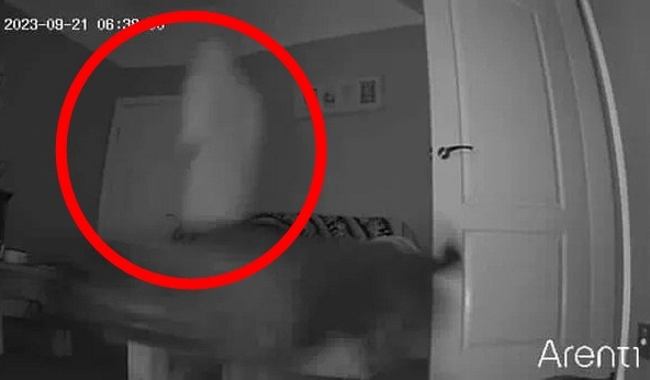 Lắp camera theo dõi thú cưng, cặp đôi phát hiện điều kỳ dị trong căn nhà cổ 135 năm tuổi