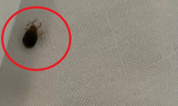 Nghỉ tại một khách sạn ở London để xem concert, cặp đôi tỉnh dậy chứng kiến cảnh tượng ác mộng