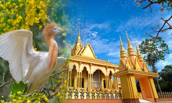 Hàng nghìn con chim cò trú ngụ trong ngôi chùa cổ hơn 300 năm tuổi