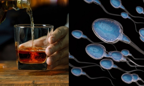 Uống nhiều rượu bia tiêu diệt ‘tinh binh’? Sự thật nam giới cần biết