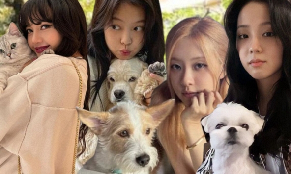 BLACKPINK chiều thú cưng đến mức nào: Cún nhà Jennie đi dạo phố bằng xe đẩy, cún của Rosé có túi xách hơn 3000 đô
