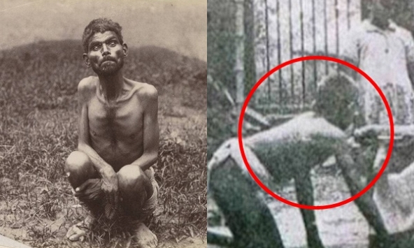 Chuyện bi thảm của 'cậu bé rừng xanh' đời thực: Đấu tranh để thích nghi với thế giới văn minh, chết trong bệnh tật sau 20 năm rời bầy sói