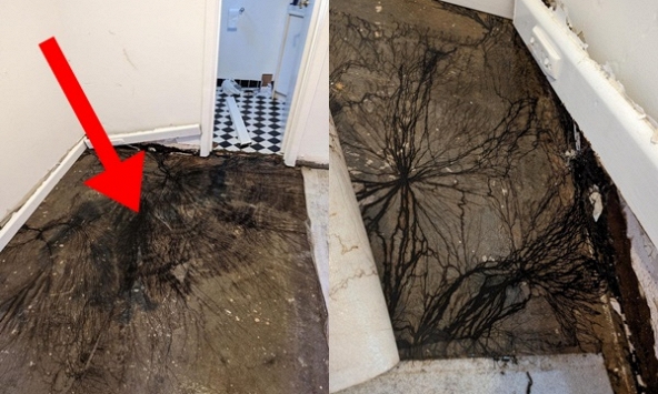 Cô gái phát hiện cảnh tượng rùng rợn lúc bóc tấm gỗ lát sàn nhà lên, hỏi dân mạng thì càng thêm tái mặt về câu trả lời