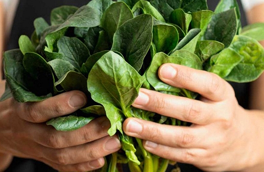 Rau này được ví như “nhân sâm xanh” vì tốt cho não, tim, xương, mắt, da và dáng