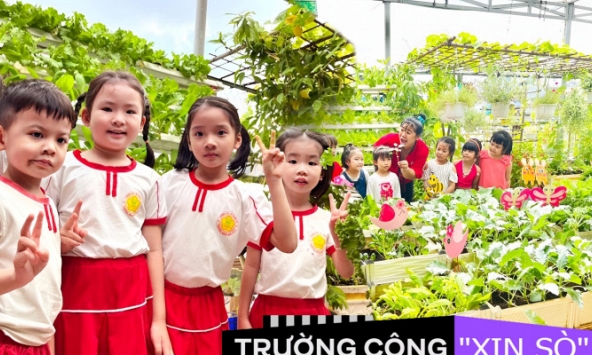 Mê mẩn vườn rau, khu vui chơi trên sân thượng của một trường mầm non công lập: Không gian xanh mướt, rau củ không thiếu gì