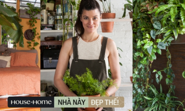 Cựu người mẫu biến căn chung cư 60m2 thành vườn cây cảnh, bên trong có hơn 500 loại thực vật khác nhau