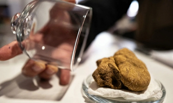 Sự tàn khốc sau món ăn xa xỉ nhất thế giới có giá 'cao ngất' trong nhà hàng sang trọng: Hành động tàn ác tước đi hàng loạt sinh mạng